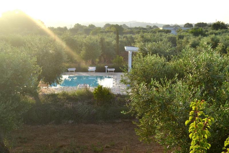Appartamento L'Uliveto Cisternino Esterno foto