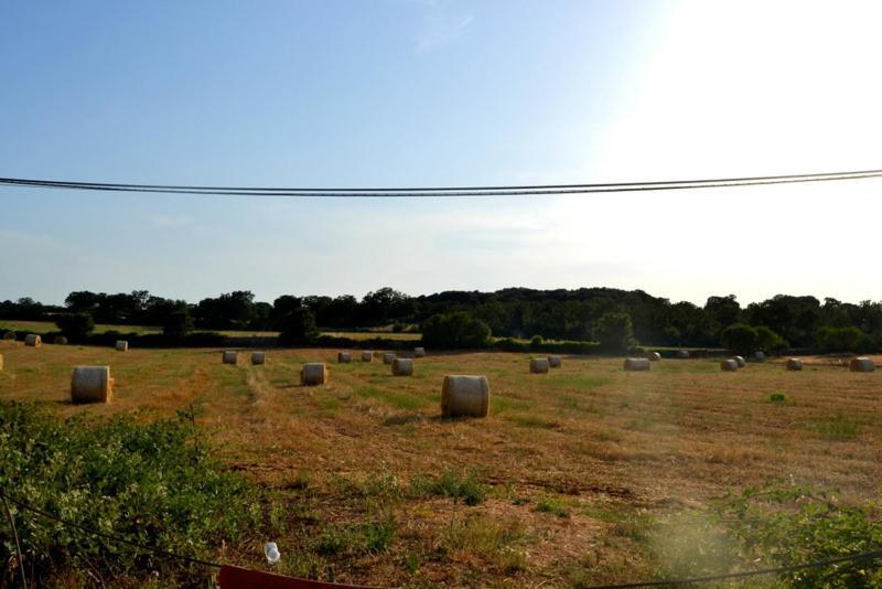 Appartamento L'Uliveto Cisternino Esterno foto