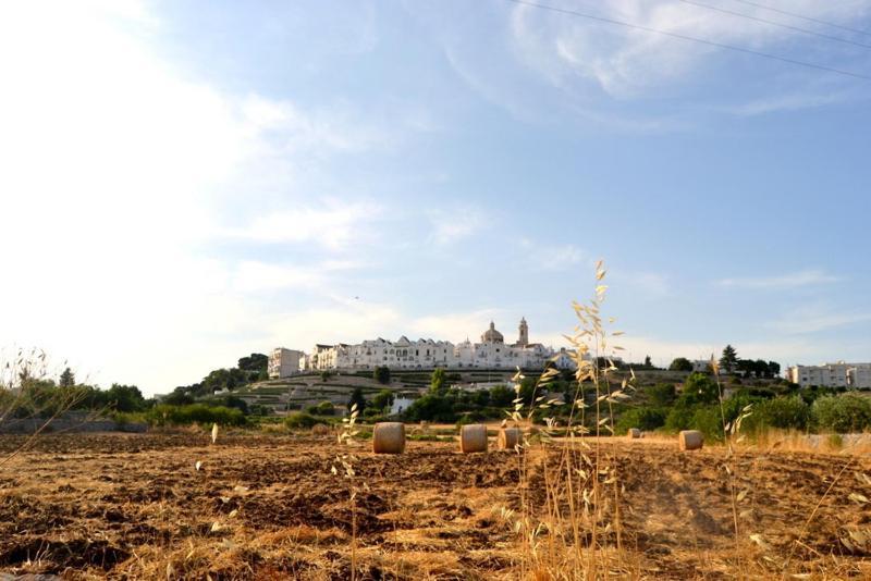 Appartamento L'Uliveto Cisternino Esterno foto